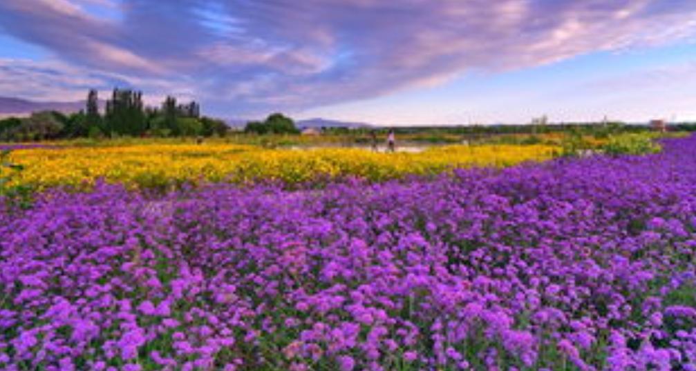 甘肃省各市颜值排名,甘肃省各市照片