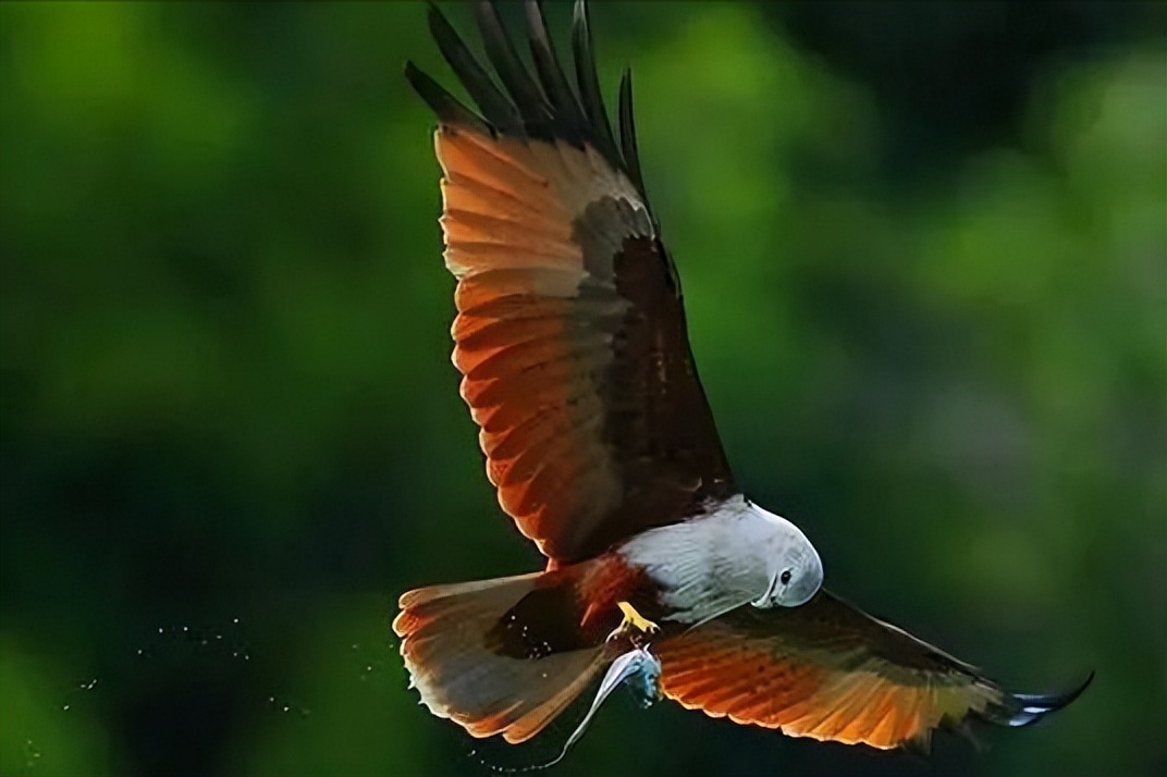 我和妈妈分离20年,我和妈妈的最后一年吵架