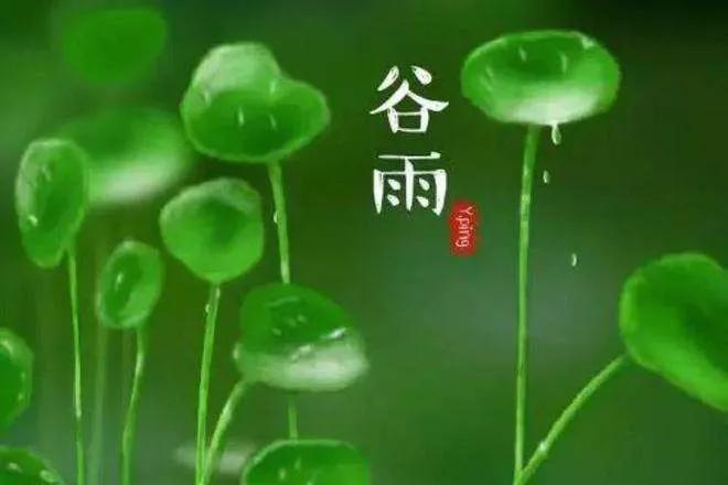 五律初冬雨,二十四节气谷雨五律