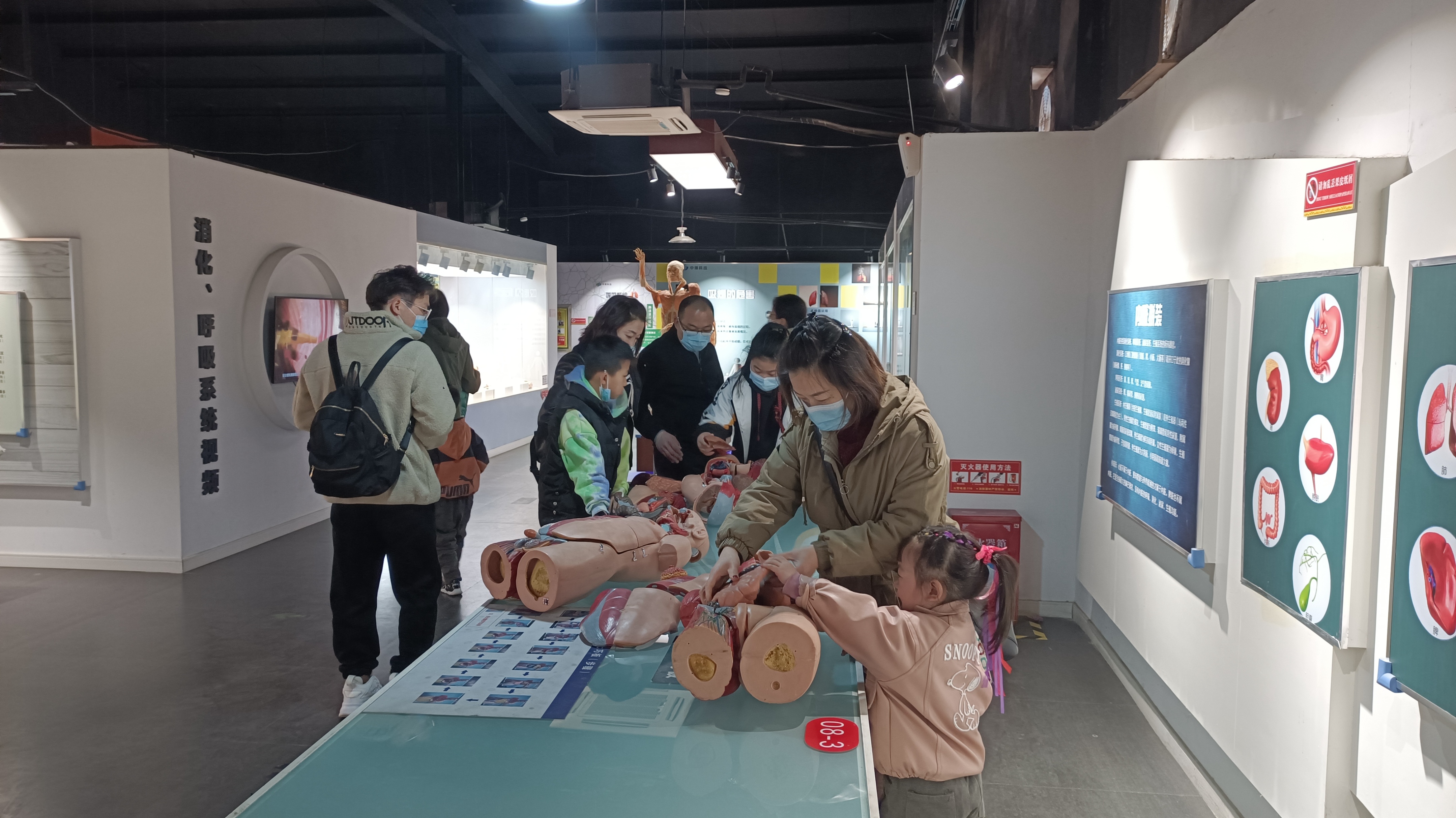 郑州春天去哪里旅游,郑州周边适合春天去的地方