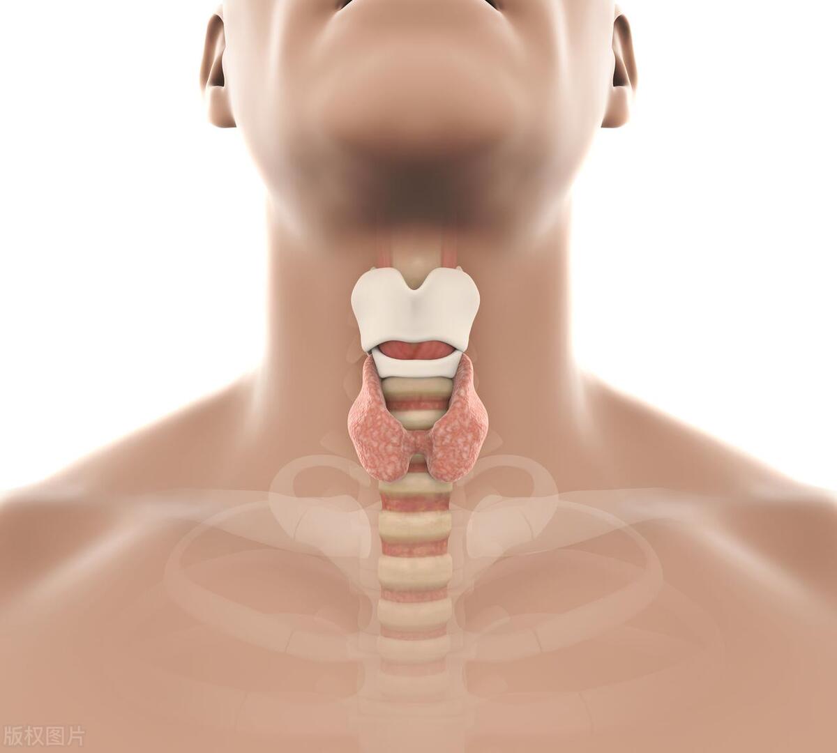 亚甲减有症状中医调理,亚临床甲减的偏方