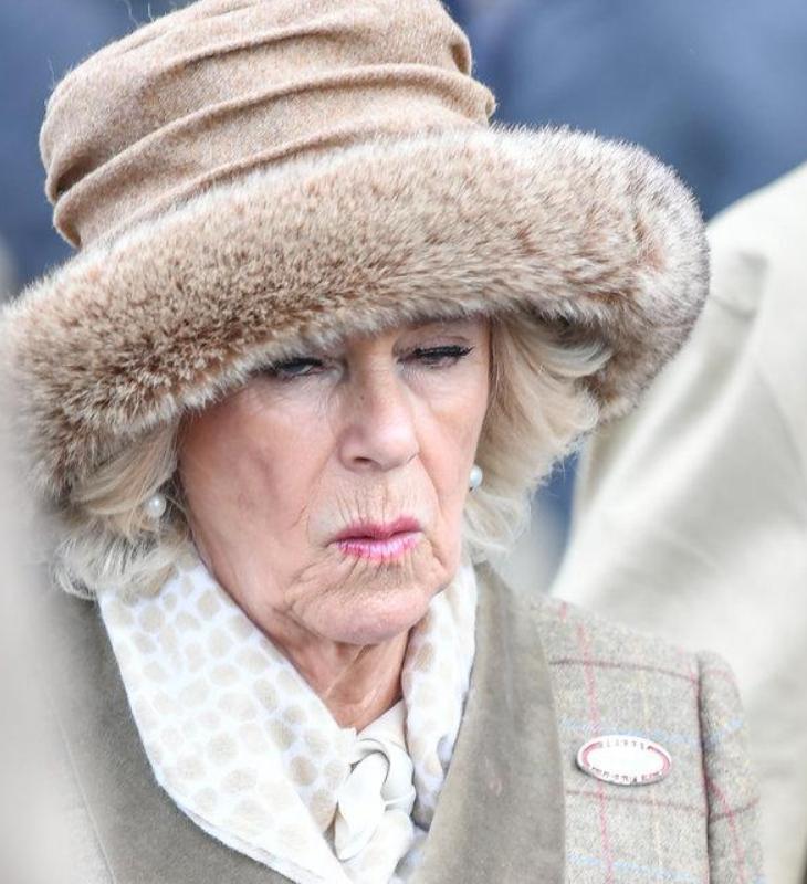 安妮公主向女王行屈膝礼,安妮公主给女王灵柩行屈膝礼