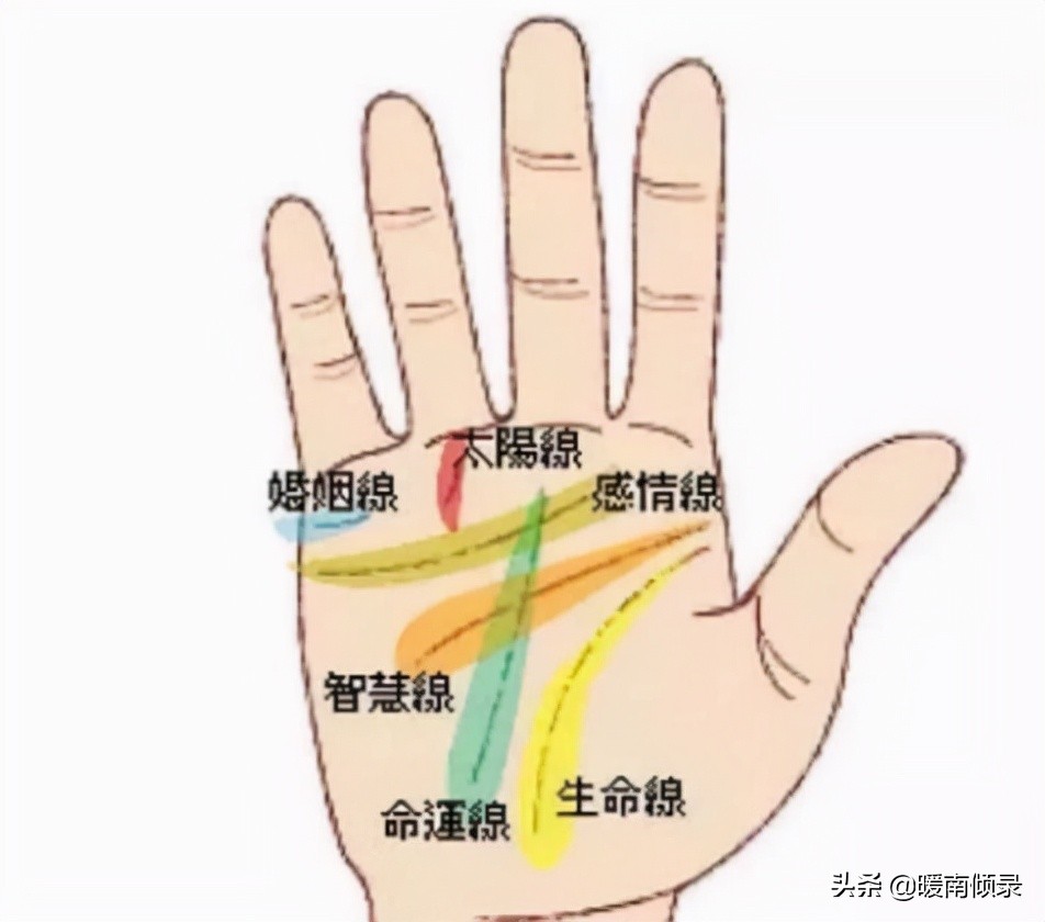 男人双断掌跟单断掌意味什么,手掌看相断掌克夫