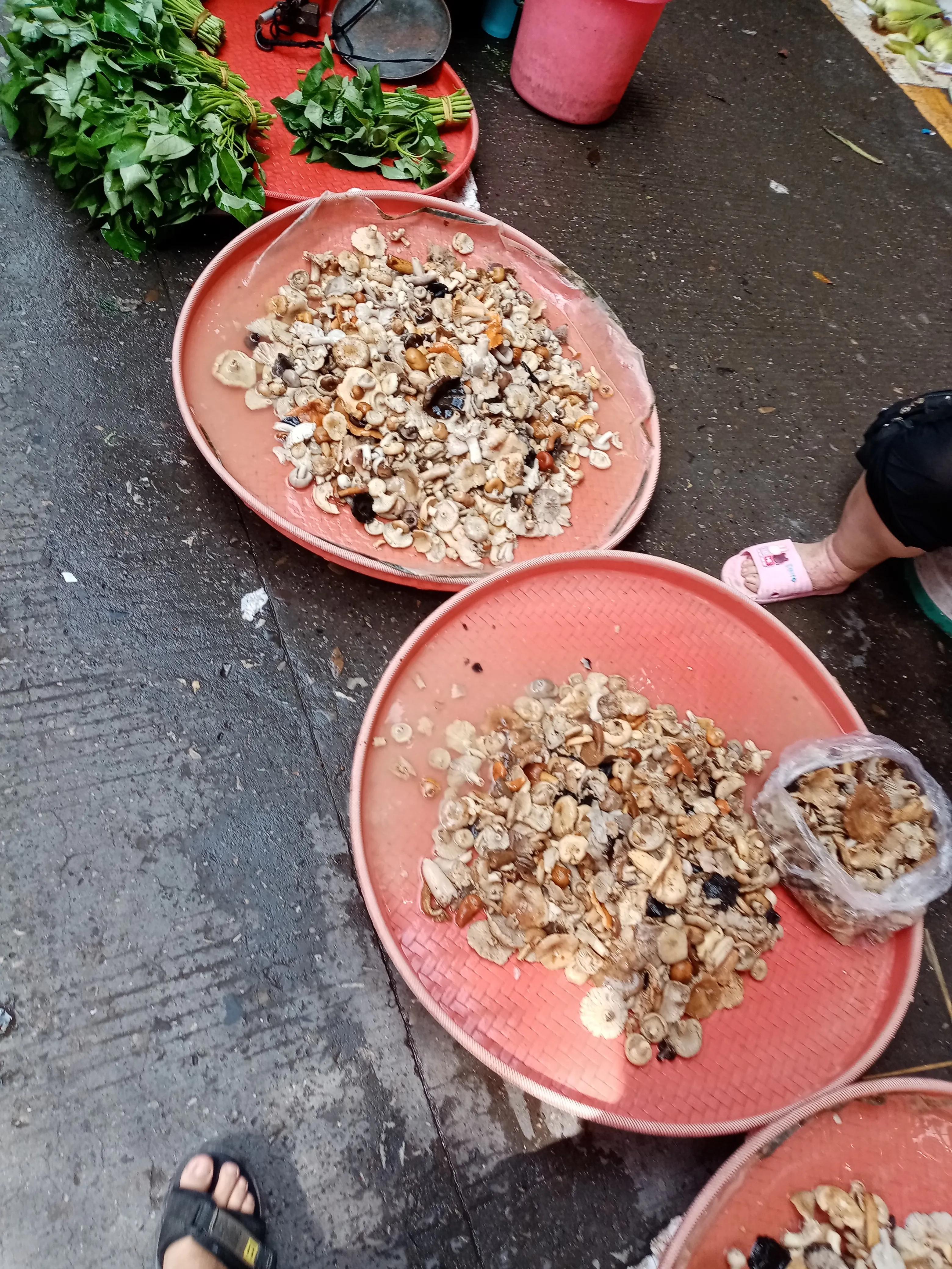 竹编物品有哪些,竹品编织