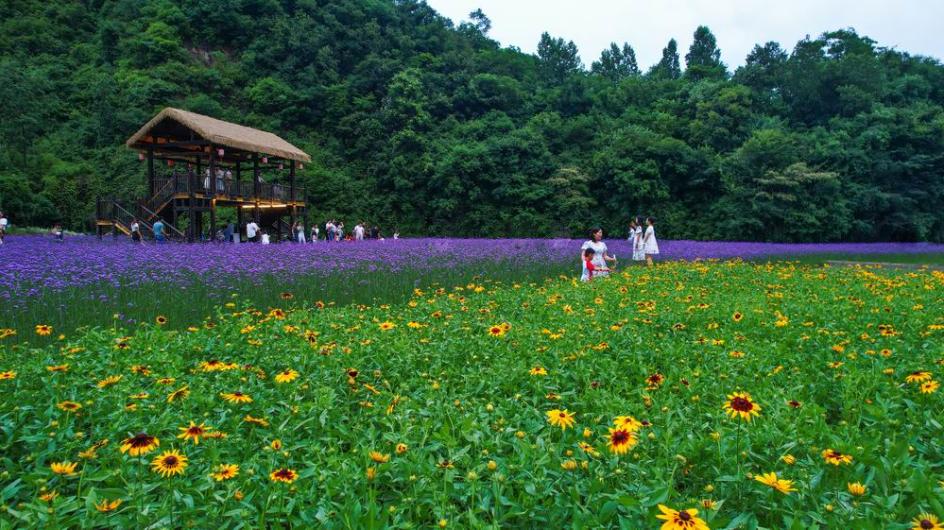 湖北特产十堰,湖北十堰郧西县的特产