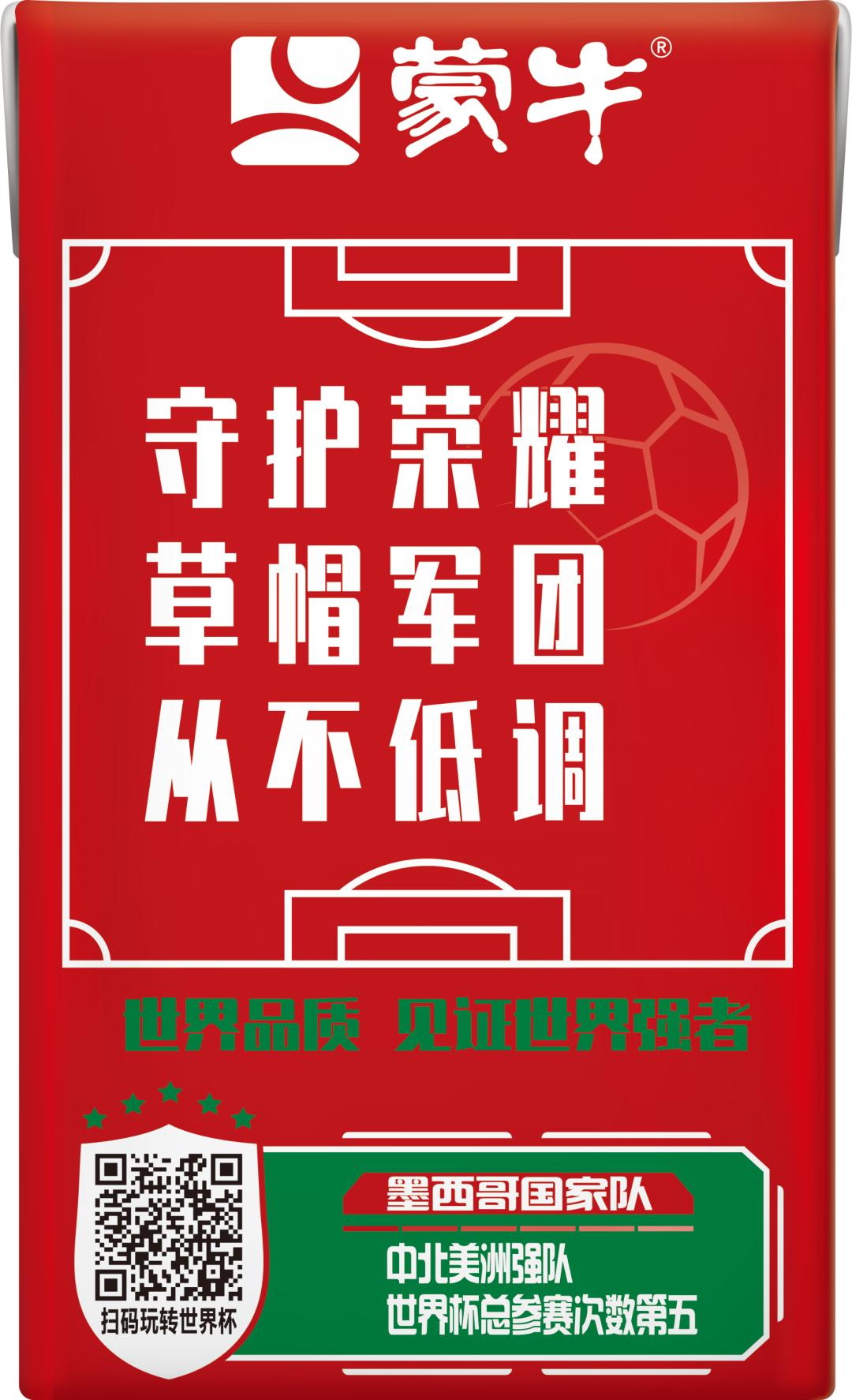 世界杯队长手记,世界杯队长纪录片葡萄牙