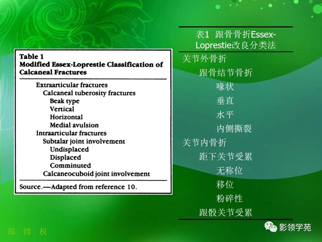 正常跟骨影像图,跟骨正常与变异影像表现图片