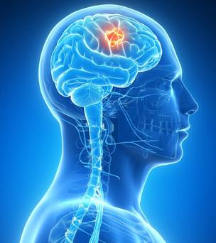 峰回路转枯木逢春,峰回路转眉开眼笑