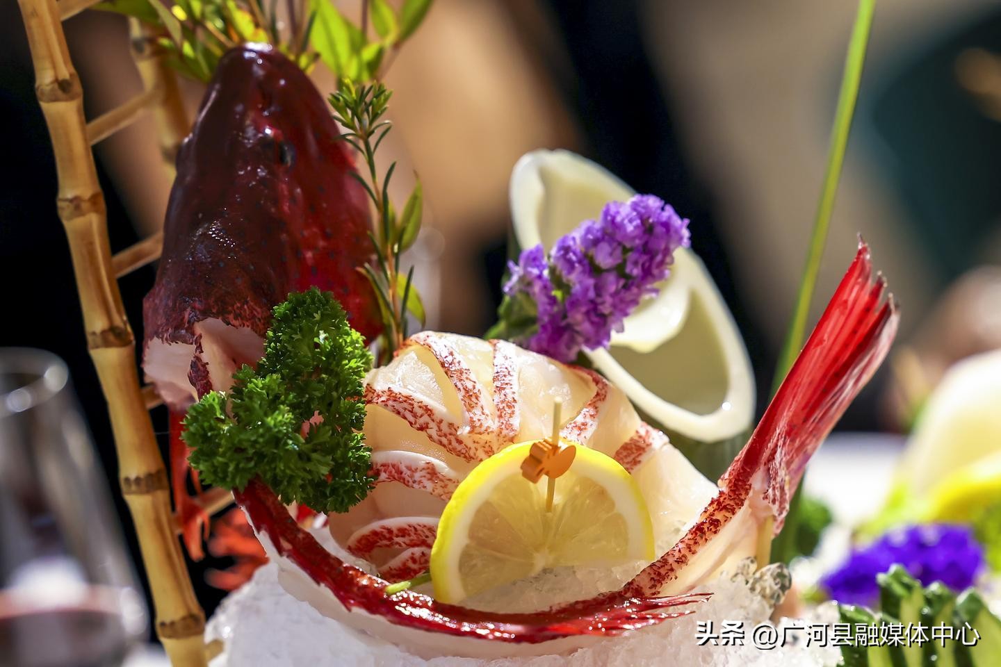 走南闯北广河人,走南闯北广河人预告