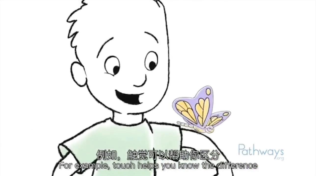 你知道我们有什么差距吗,你知道我们有什么不同吗