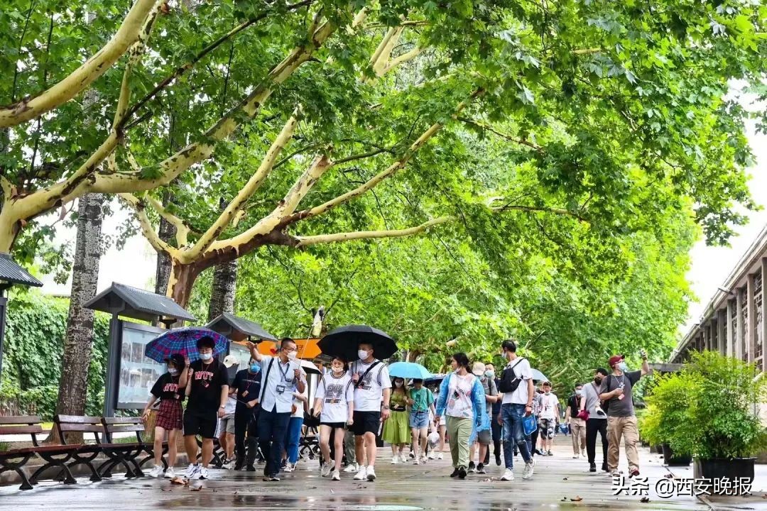 秦始皇帝陵博物院开放时间,秦始皇帝陵博物院什么时候开放