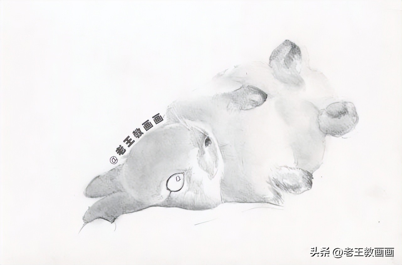 兔年怎么画一个好看的兔子,兔年到了怎么画一只兔子