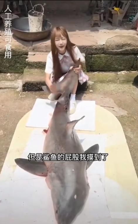 网红女主播吃大白鲨调查后续,网红被爆料吃大白鲨