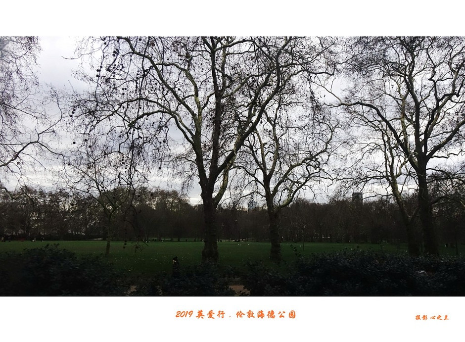 伦敦海德公园英国最大的皇家公园,浮光掠影免费阅读全文