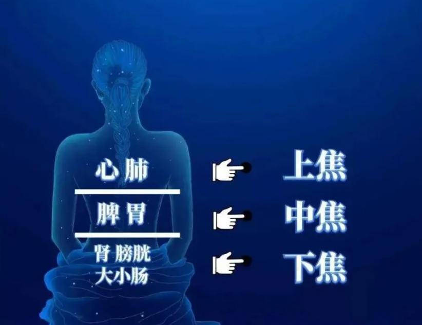 通过“脑之玄府”理论，来谈谈脑梗死的中医辨治思路