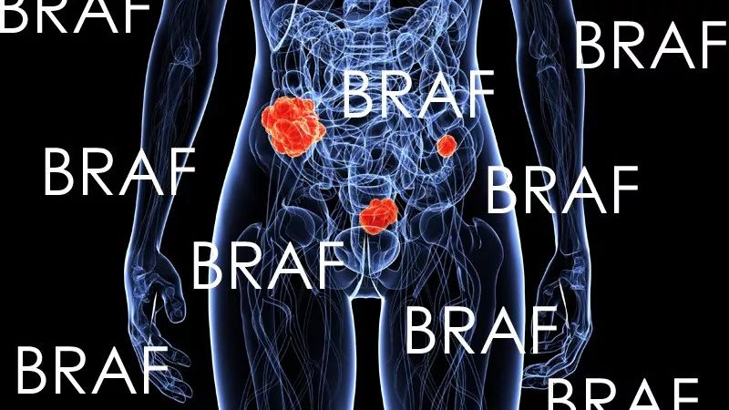 肿瘤领域的发展及看法,肿瘤临床试验有哪些平台