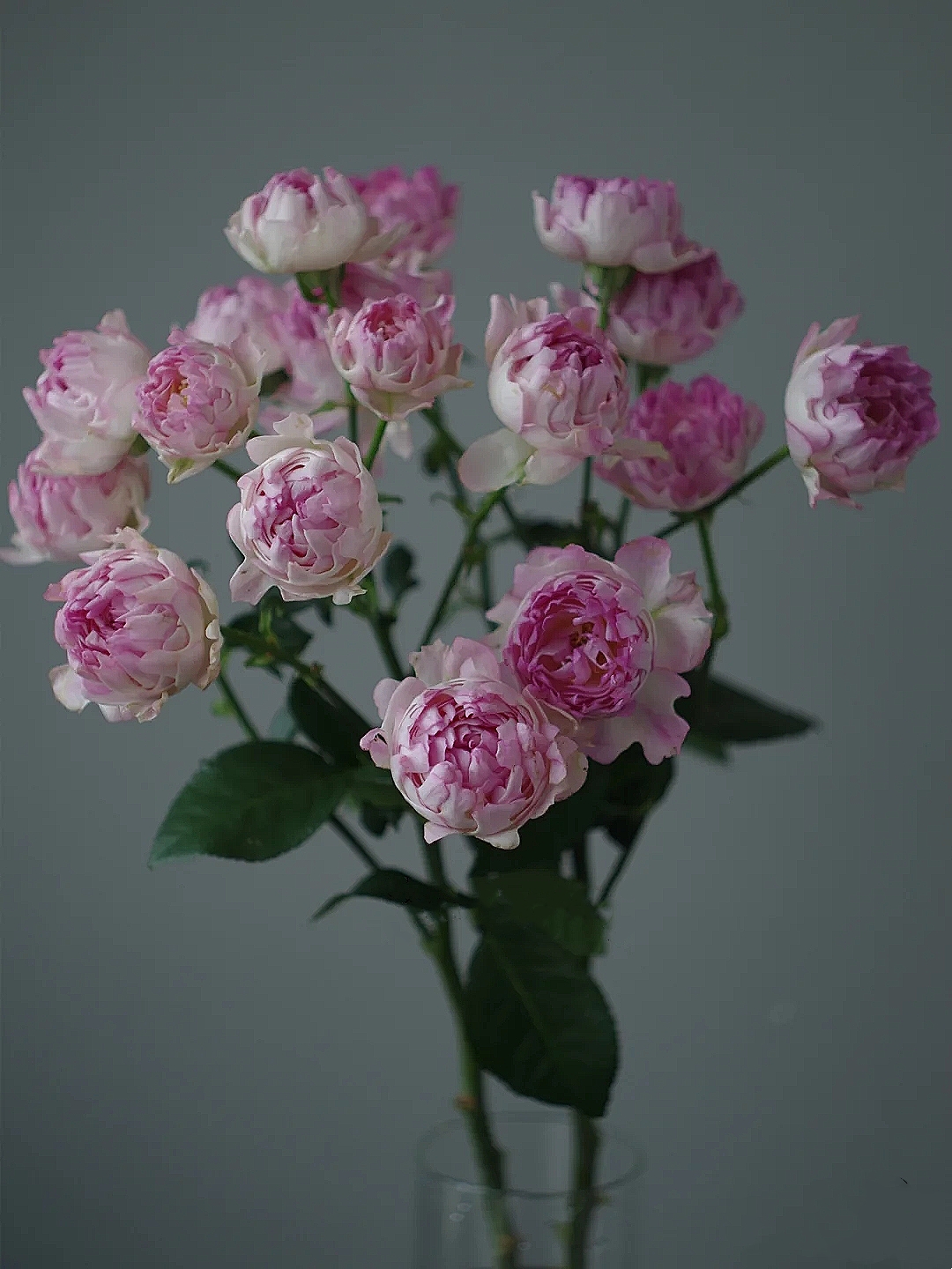 花艺教程花材打理知识,花艺教程常用花材及叶材有哪些