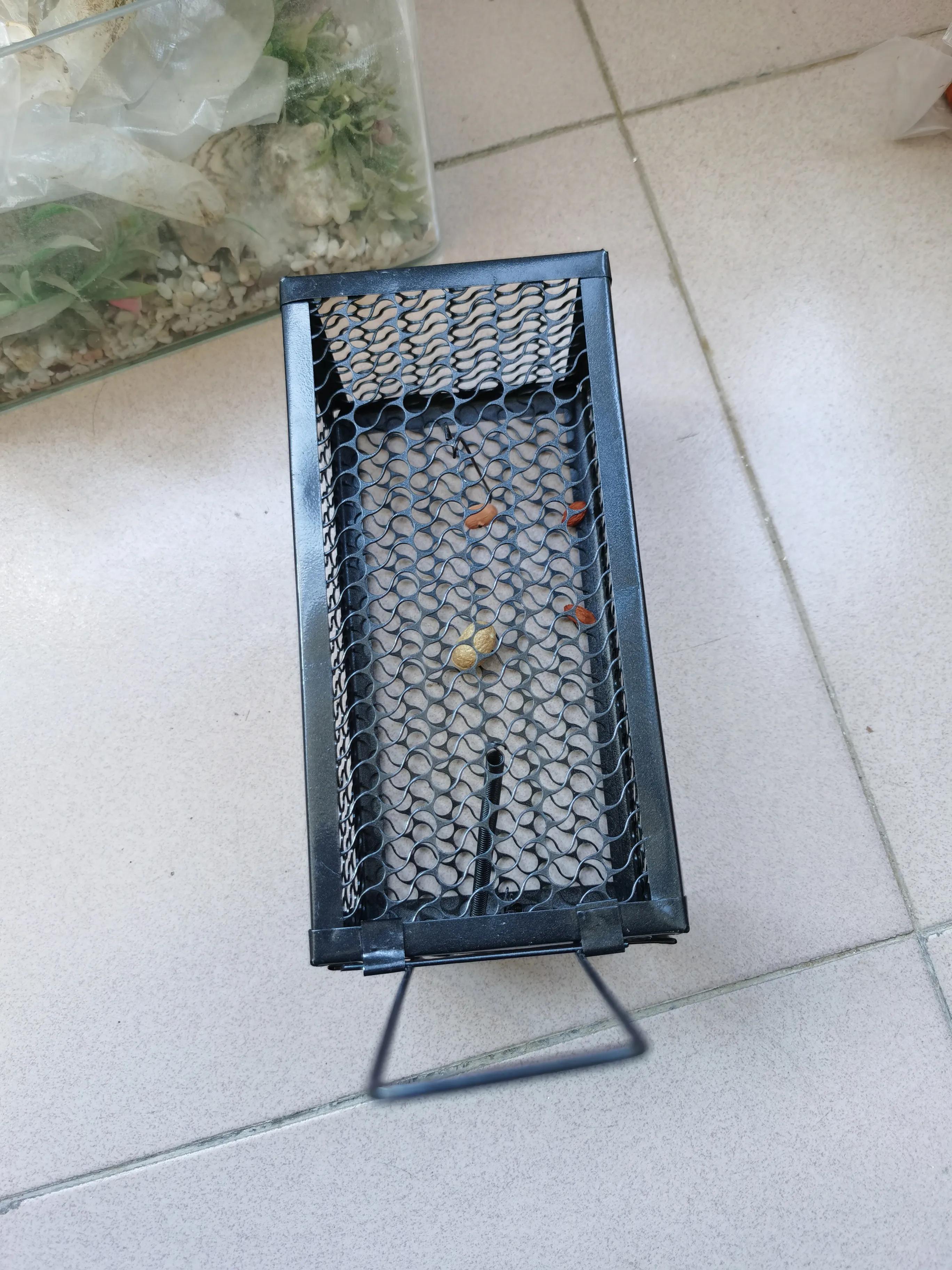 灭鼠的100种方式,专业灭鼠公司一般灭鼠都用啥方法