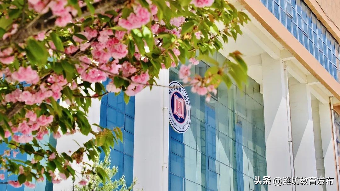 美！潍坊校园春景强势来袭