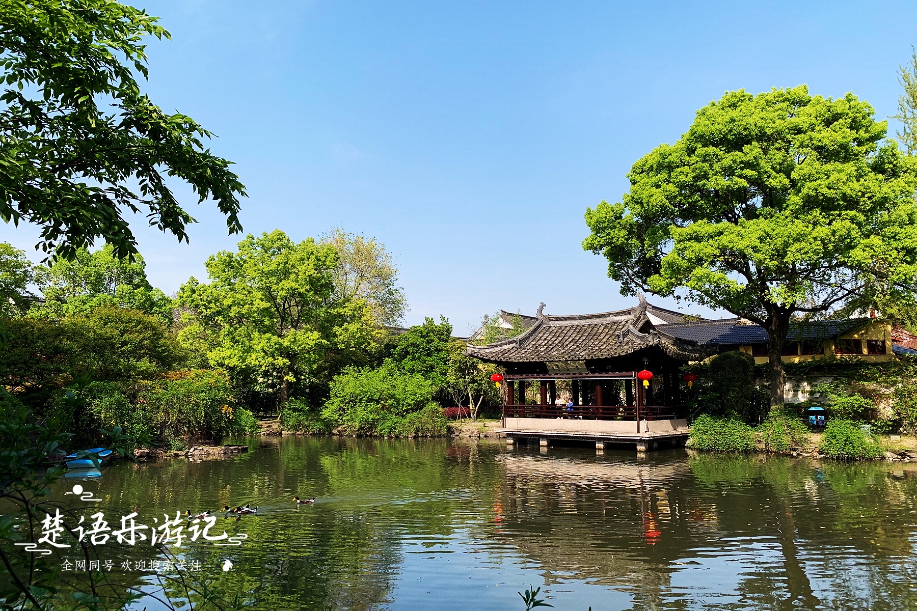 绍兴赏花一日游最佳去处,绍兴赏荷景区