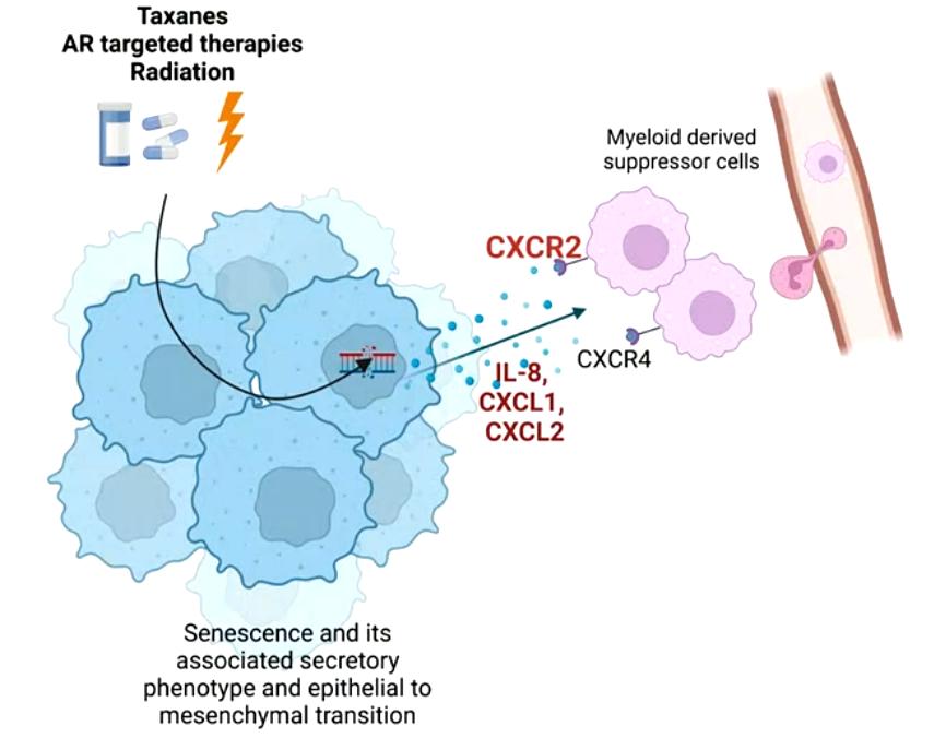 esmo2023,esmo靶向药