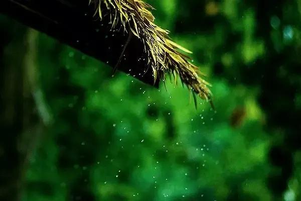 几时归去仍是闲人,何时归去做个闲人图片