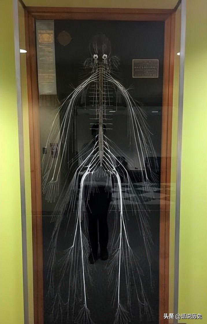 变态的纳粹德国,*光脱**犹太人女人衣服,集体*杀屠**!