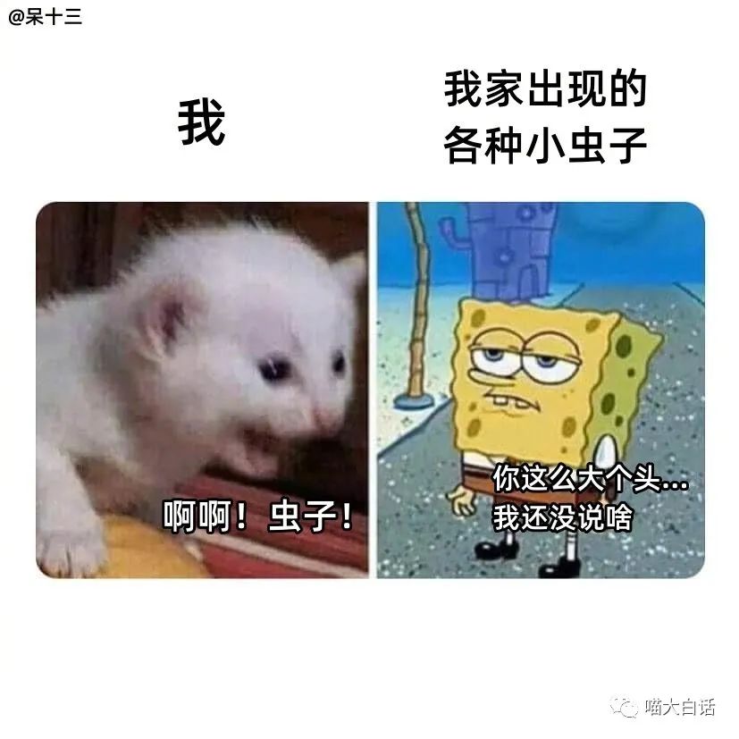 背德文学啥意思,背德文学是什么