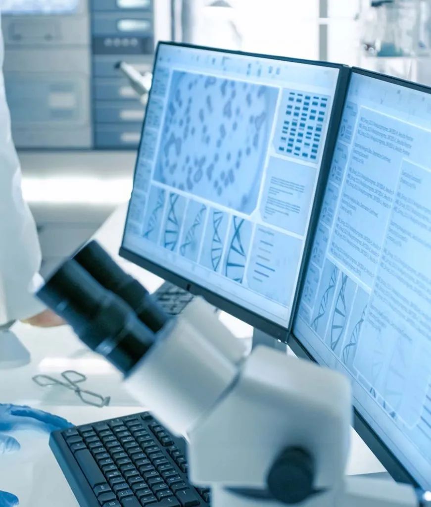 在普吉岛旅游的3天旅游感受,这个夏天在普吉岛