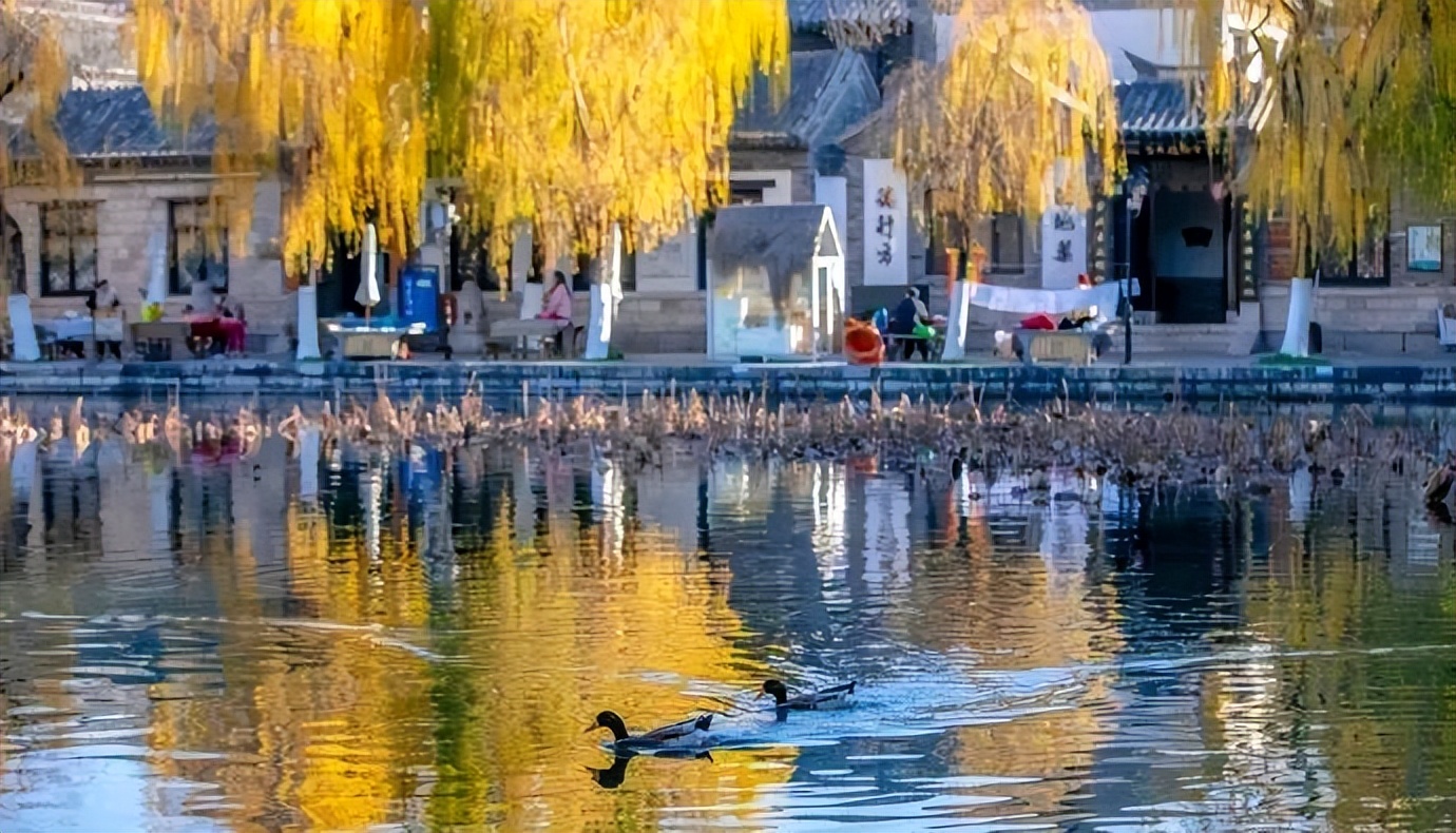 济南周边冬季自驾游去哪里好玩,济南旅游攻略五日游最佳路线