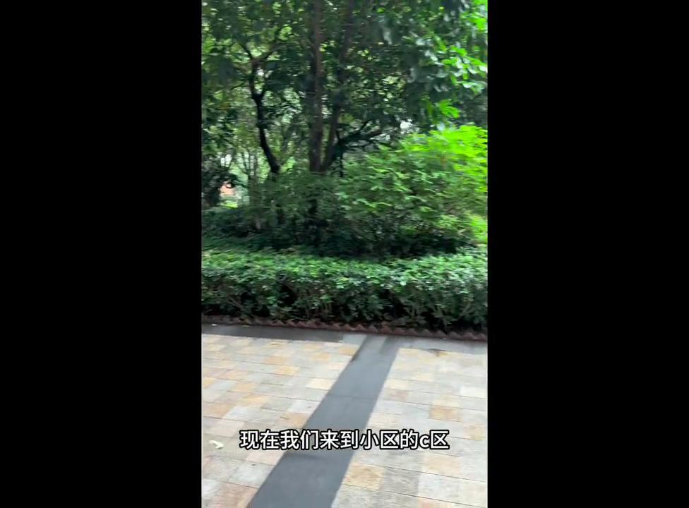 富力桃园广州复式,富力桃园广州两房改三房