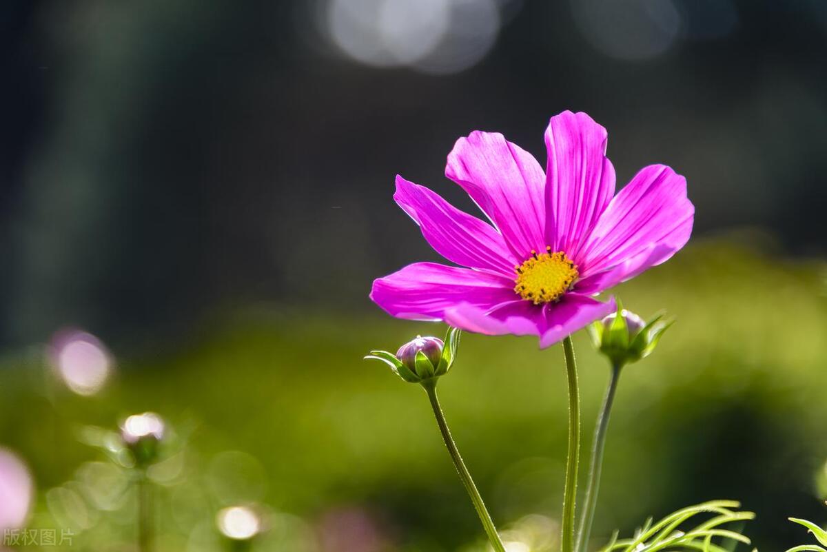 60岁婆婆喜欢说“边娱乐边赚钱”，可我对她的“赚钱经验”很苦恼