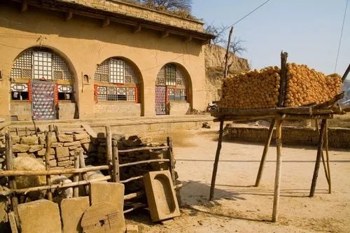 退伍军人患了白血病,90后退伍军人得血癌