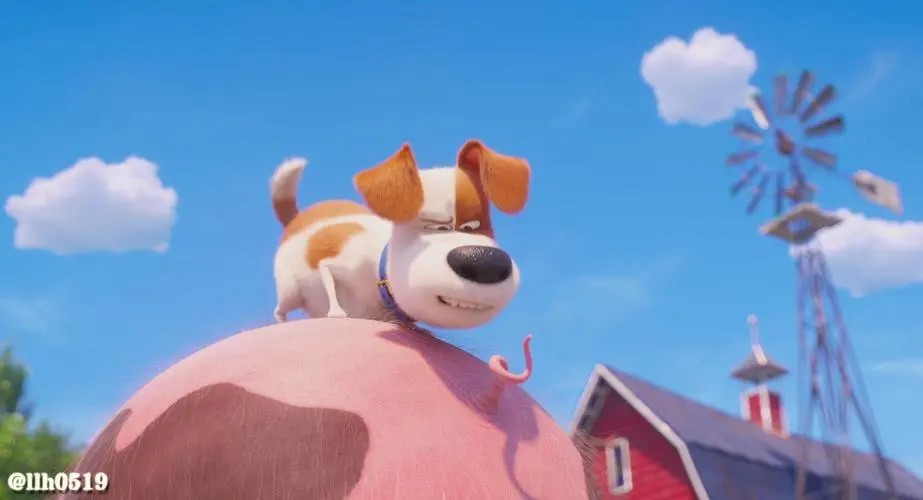 爱宠大机密这类电影推荐,welcometonewyork爱宠大机密