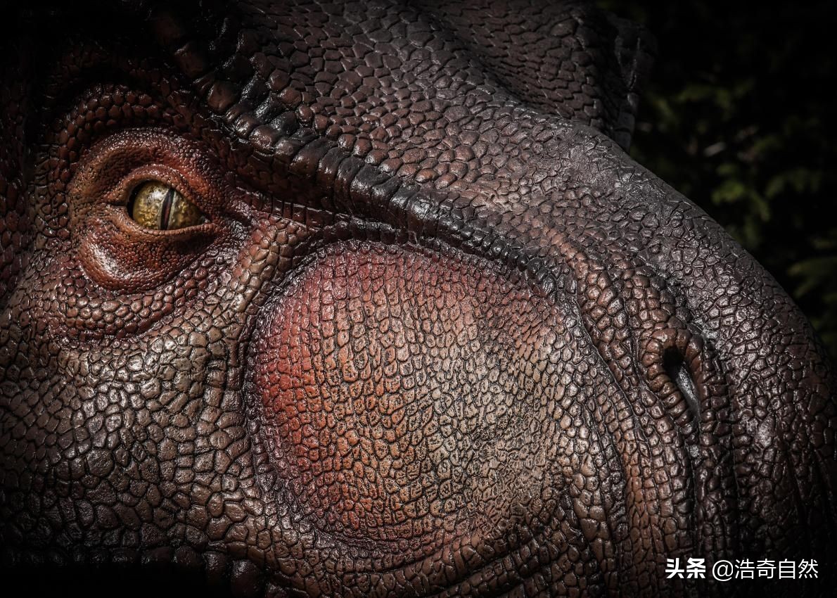 霸王龙基因琥珀,基因霸王龙