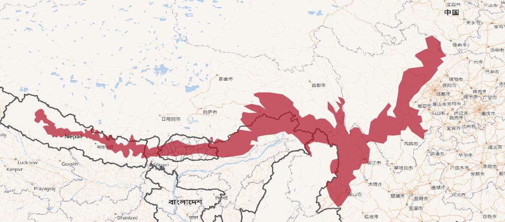 大熊猫真的安全了吗,大熊猫安全性能