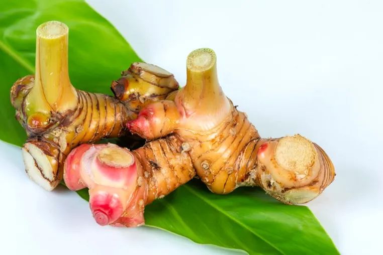 12种香料及分量,姜科植物的香料有哪些