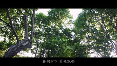 武汉华中科大校歌,华中科技大学校歌发布仪式