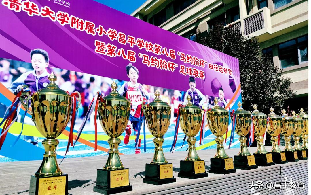 校园足球比赛世界杯,学校足球世界杯