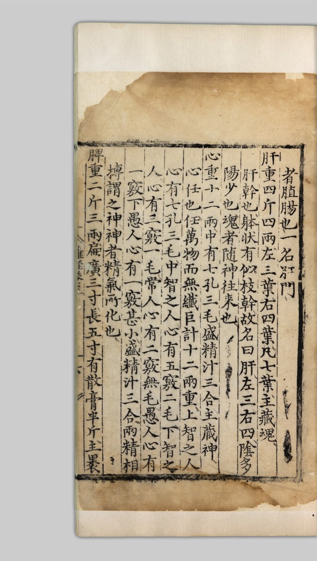 肛汉字笔画,汉字读音查询