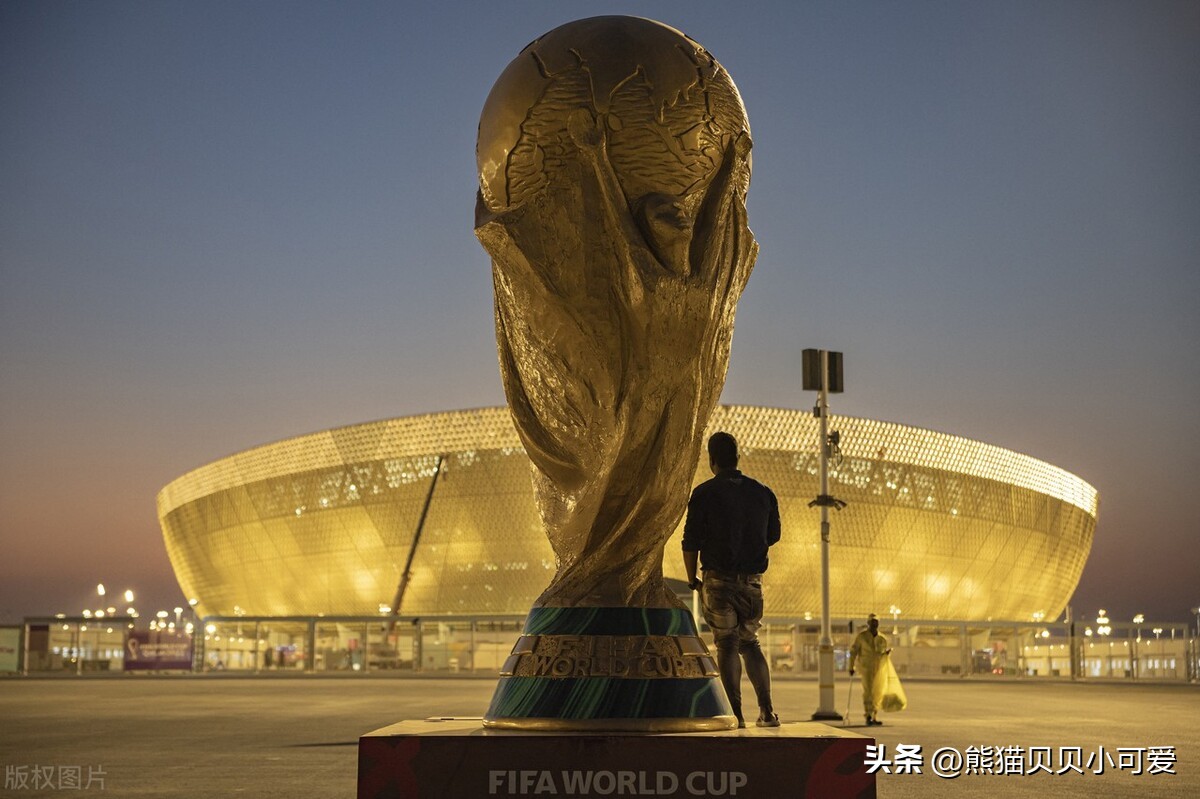 足球世界杯经济,世界杯足球经济发展