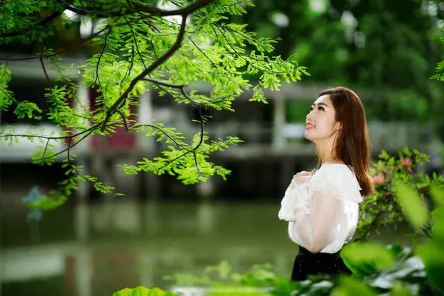 原创诗歌诗词欣赏,落红诗歌