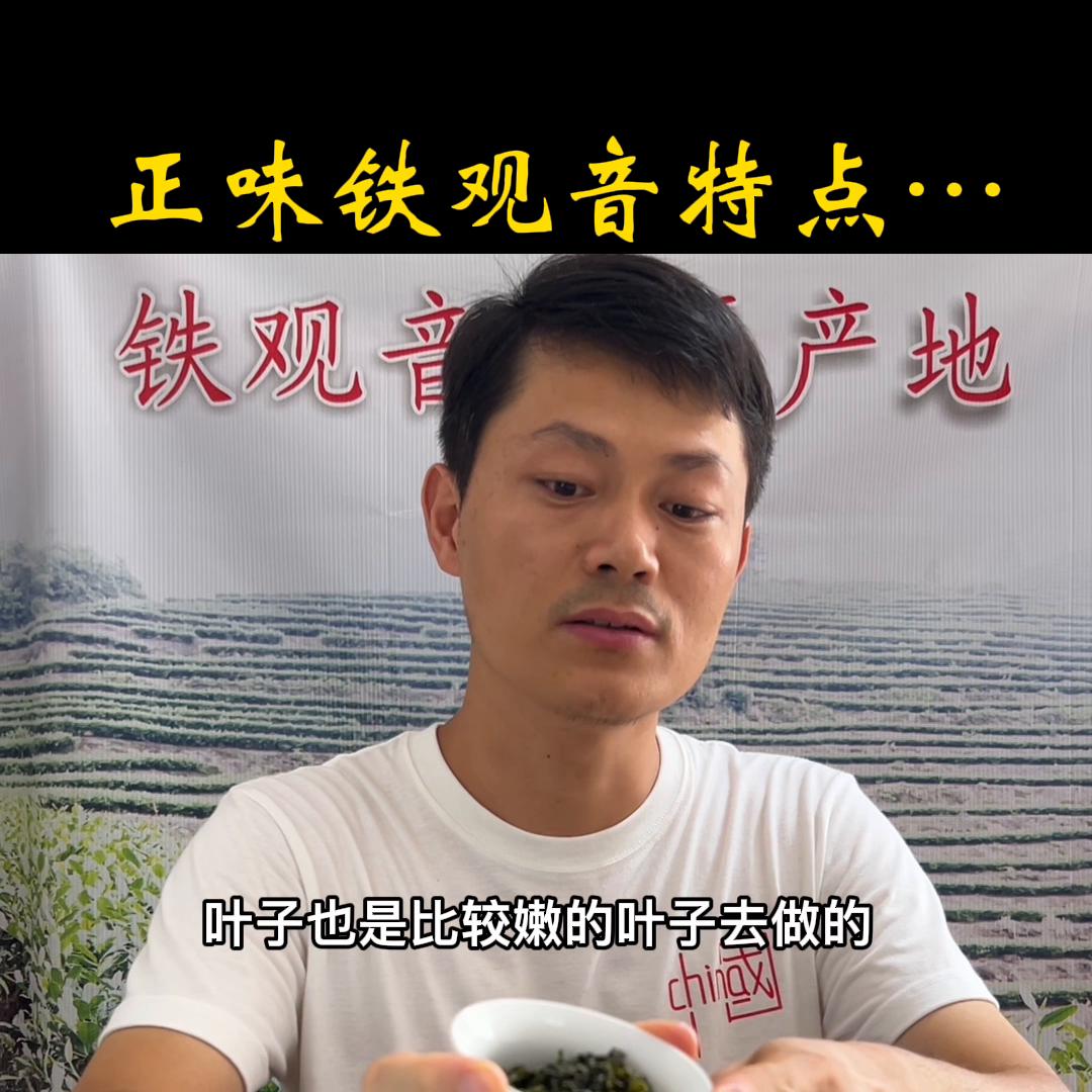 怎么买正味铁观音,铁观音正味跟原味