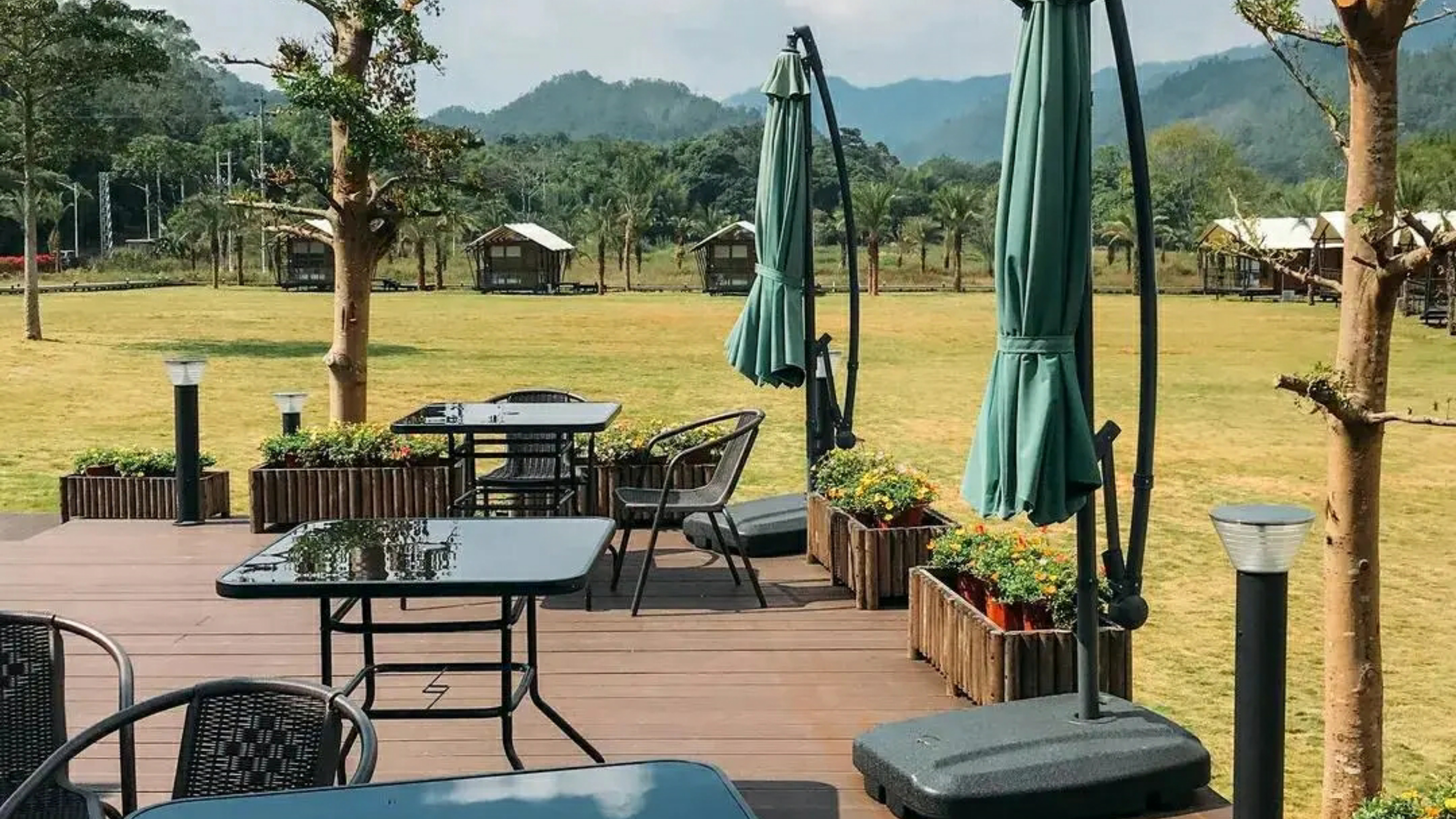 惠州赏梅花地方,惠州惠东梁化镇梅园