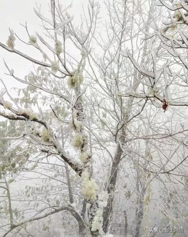 今天的越南现状 (越南真实现状如何)