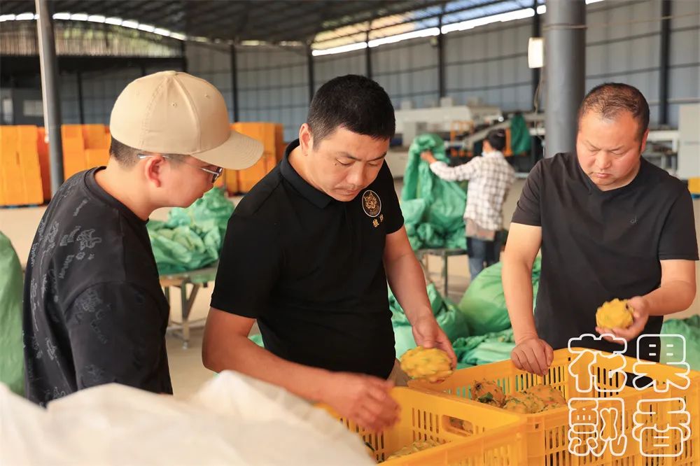 冬季好卖的水果有哪些,比较容易卖的水果有哪些