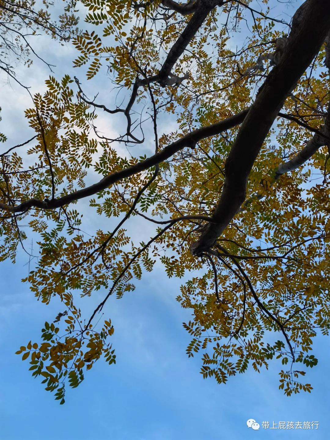 上海超火的日式私汤温泉酒店,上海日式温泉度假