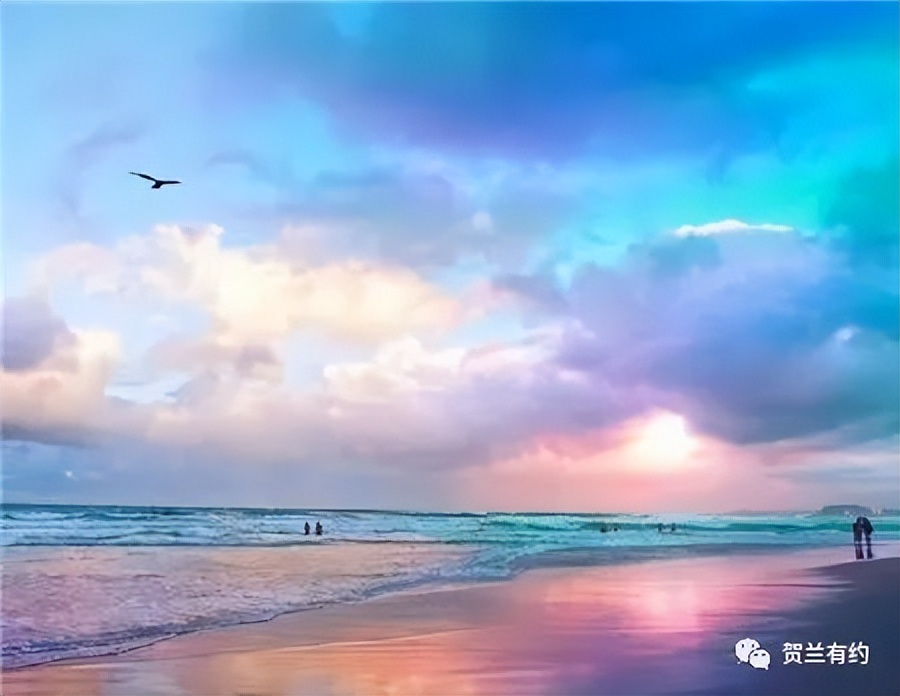 既见君子云胡不喜作品,既见君子云胡不喜全诗