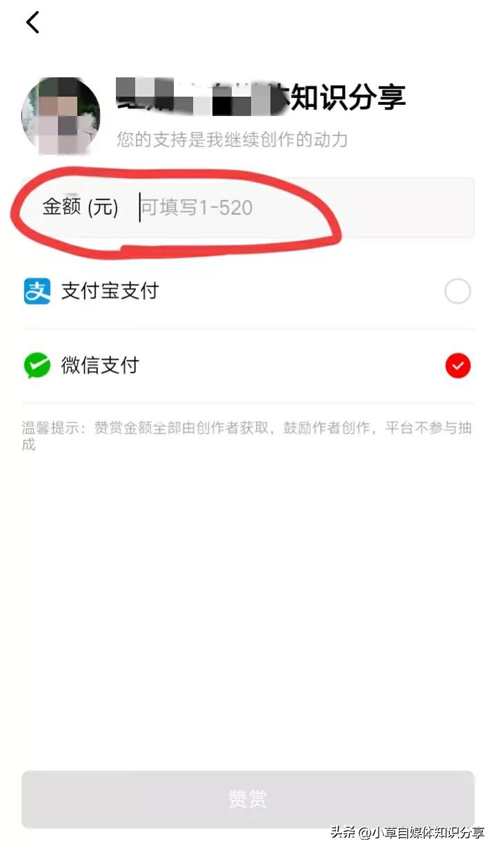 头条文章开通赞赏后有人打赏吗,头条赞赏功能怎么开通