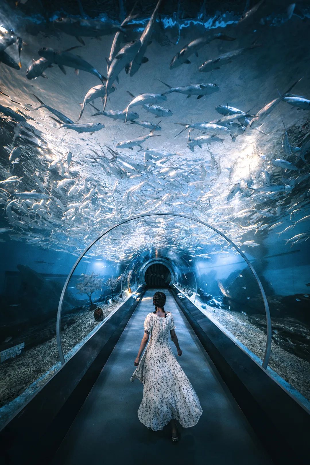 去武汉你一定要了解这些,去武汉必须做的10件事